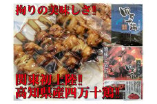 【国産】四万十鶏・二種盛焼き鳥