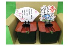 【コロナ対策対応容器】アイデア食品容器（Ｓパックン）