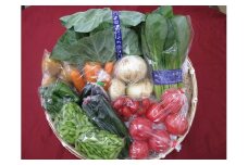 【5月下旬より配送開始】船橋産 夏野菜の詰合せ　国産　※お届け日指定不可
