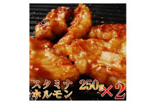黒毛和牛　やまと特製みそだれ　スタミナホルモン500ｇ（250ｇ×2Ｐ）　松阪牛　焼き肉　A5ランク　雌牛　焼肉やまと　やまとダイニング