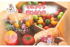 三須トマト農園 ミニトマト詰合せ 2.7kg とまと トマト フルーツトマト ミニトマト トマトジュース 野菜 やさい 人気 新鮮 産地直送 甘い 高糖度 完熟 食べやすい リコピン ビタミン ダイエット 美容 美肌 期間限定 限定