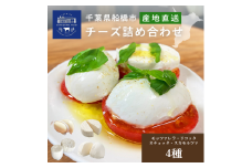 チーズ 皆川牧場 詰め合わせ 4種 セット 食べ比べ 人気 話題 冷蔵 モッツァレラチーズ リコッタ カチョッタ スカモルツァ ナチュラルチーズ 熟成 手作り 生乳 牧場直送 ご当地 ギフト 贈答 ミルク おつまみ デザート パスタ ピザ 前菜 おつまみ 乳製品 船橋市 千葉県