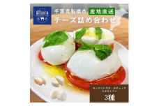 チーズ 皆川牧場 詰め合わせ 3種 セット 食べ比べ 人気 話題 冷蔵 モッツァレラチーズ カチョッタ スカモルツァ ナチュラルチーズ 熟成 手作り 生乳 牧場直送 ご当地 ギフト 贈答 ミルク おつまみ デザート パスタ ピザ 前菜 おつまみ 乳製品 船橋市 千葉県