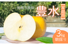 【2025年産先行予約】＜家庭用＞果汁たっぷりの極上梨「豊水・3kg」6～9玉 千葉県 船橋市産 エコチョク