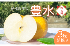 【2025年産先行予約】＜贈答用＞果汁たっぷりの極上梨「豊水・3kg」6～9玉 千葉県 船橋市産 エコチョク