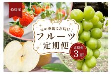 船橋産フルーツ定期便（3品目）　梨 豊水 シャインマスカット イチゴ エコチョク