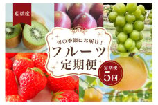 船橋産フルーツ定期便（5品目）　梨 豊水 パッションフルーツ シャインマスカット キウイ イチゴ エコチョク