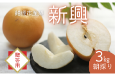 【2025年産先行予約】＜贈答用＞果汁たっぷりの極上梨「新興・3kg」6～9玉 千葉県 船橋市産 エコチョク