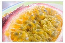 【2025年産先行予約】船橋産パッションフルーツ 1kg 甘い 糖度18 完熟 農園直送 エコチョク