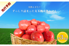 ずっしり詰まった極上トマト3kg 国産 とまと トマトトマトジュース 野菜 やさい 人気 新鮮 産地直送 甘い 高糖度 完熟 食べやすい リコピン ビタミン ダイエット 美容 美肌