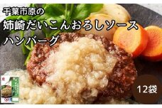 千葉市原の姉崎だいこんおろしソースハンバーグ 12袋