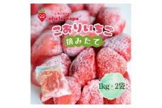 摘みたて氷いちご 2kg 冷凍いちご いちご イチゴ 苺