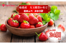 いちご 大粒 24個 イチゴ 苺 かおり野 紅ほっぺ 予約 先行予約 先行受付 数量限定 期間限定 限定果物 フルーツ  予約 ギフト 贈答