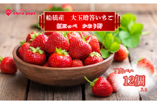 いちご 大粒 12個イチゴ 苺 かおり野 紅ほっぺ 予約 先行予約 先行受付 数量限定 期間限定 限定果物 フルーツ 予約 ギフト 贈答