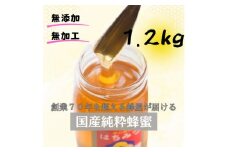 ひふみ養蜂園 菜の花はちみつ 1.2kg【1486511】