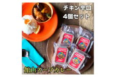 館山スープカレー(チキン)冷凍パック　レギュラー　辛口4人前【1412636】