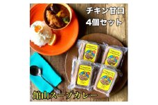 館山スープカレー冷凍パック(チキン)　レギュラー 甘口4人前【1449783】