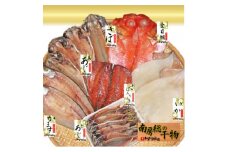 館山「おまかせ干物セット」7種21枚【1487426】