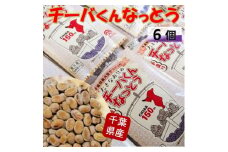 千葉県誕生150周年記念「大きなお豆のチーバくんなっとう」90g×6個入り【1488705】