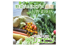＜毎月定期便＞＜上旬発送＞こだわりの旬野菜BOX「リエビン」季節の野菜セット全6回【4012342】