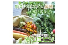 ＜毎月定期便＞＜中旬発送＞こだわりの旬野菜BOX「リエビン」季節の野菜セット全12回【4012346】