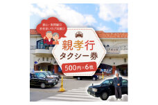館山・南房総親孝行タクシー券　500円×6枚【1486496】