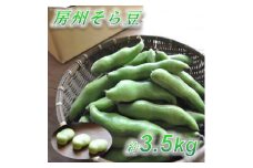 ＜数量限定＞安心安全なサヤ付き房州そらまめ 約3.5kg (4月下旬頃～5月下旬頃発送予定)【1486428】