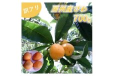 ＜訳あり＞館山の温暖な気候育ち 房州びわ 700g以上【1486469】