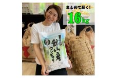 吉田米屋イチオシ!白米16kg つやつや館山産コシヒカリ1等米【1521964】