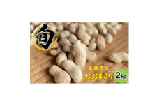 ＜ 数量限定 ＞＜ 期間限定 ＞農家イチオシ!千葉県館山産 生落花生おおまさり 2kg【1532949】