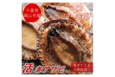 ＜金曜日発送＞漁師直送!天然活メガイアワビ1kg(2～5枚)【1532974】