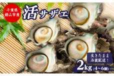 ＜先行予約＞＜金曜日発送＞漁師直送!天然大ぶり活サザエ　2kg(4～6個)【1532979】