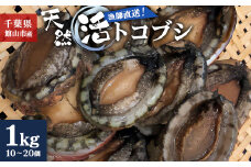 ＜金曜日発送＞漁師直送!天然活トコブシ1kg(10～20個)【1532978】