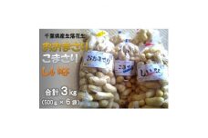 ＜数量限定＞館山産生落花生　おおまさり・こまさり(規格外)・しいな(規格外)各1kg　食べ比べセット【1534712】