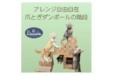 爪とぎできる子猫用ステップ「カリカリーナ ピッコラ SCALATA」【1569880】