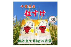 令和6年産千葉県産粒すけ精米10kg(5kg×2袋)【1576584】