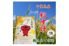 令和6年産千葉県産粒すけ精米5kg【1576623】