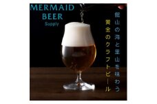 館山ブロンドエール 12本セット【1578240】