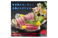 ＜訳あり＞天然ミナミマグロ中トロ&天然メバチマグロ赤身(それぞれ約300g)【1585564】