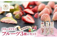 南房総館山フリーズドライフルーツ3種類 瓶詰め_ドライフルーツ ドライフルーツ ドライフルーツ【1599715】