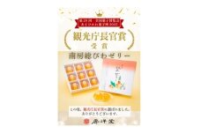 ＜祝・全国菓子大博覧会2025/観光庁長官賞受賞＞南房総びわゼリー15個入【1636140】