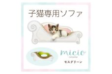 子猫のおしゃれ爪とぎ「カリカリーナmicio」モスグリーン【1660910】