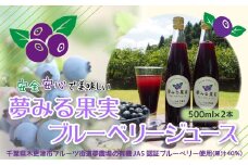 KAA001 ＜有機栽培ブルーベリー使用＞夢みる果実ブルーベリージュース（果汁40％）500ml×2本 ふるさと納税 ブルーベリー ブルーベリージュース アントシアニン 千葉県 木更津市 送料無料