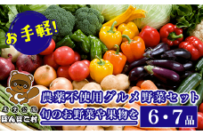 KAT002 お手軽！農薬不使用グルメ野菜セット【旬のお野菜や果物を6・7品】＜農業公園ぽんぽこ村＞ ふるさと納税 野菜 野菜セット 新鮮 農薬不使用 オーガニック お鍋 サラダ 千葉県 木更津 送料無料
