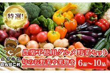 KAT001 特選！農薬不使用グルメ野菜セット【旬のお野菜や果物を６品～10品】＜農業公園ぽんぽこ村＞ ふるさと納税 野菜 野菜セット 新鮮 農薬不使用 オーガニック お鍋 サラダ 千葉県 木更津 送料無料