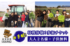 KAT004 ＜農業公園ぽんぽこ村＞お手軽収穫体験！参加チケット（大人２名様＋子供無料） ふるさと納税 野菜 野菜セット 収穫体験 千葉県 木更津 送料無料
