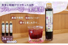 KT004 ＜果実と粗糖だけで作ったお酢＞飲むブルーベリー果実酢　3本セット ふるさと納税 ブルーベリー お酢 酢 健康 美容 果実酢 ソーダ 水割り 千葉県 木更津 送料無料
