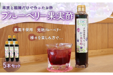 KT005 ＜果実と粗糖だけで作ったお酢＞飲むブルーベリー果実酢　5本セット ふるさと納税 ブルーベリー お酢 酢 健康 美容 果実酢 ソーダ 水割り 千葉県 木更津 送料無料
