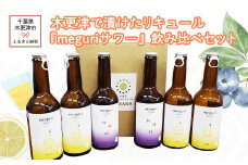 KAM007 木更津で漬けたリキュール『meguri　サワー』飲み比べセット ふるさと納税 リキュール アルコール スピリッツ 千葉県 木更津 送料無料