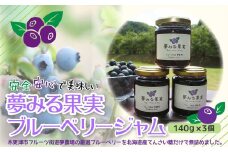 KAA003 ＜有機栽培ブルーベリー使用＞夢みる果実ブルーベリージャム　140ｇ×3本 ふるさと納税 ブルーベリー ブルーベリージュース アントシアニン 千葉県 木更津市 送料無料